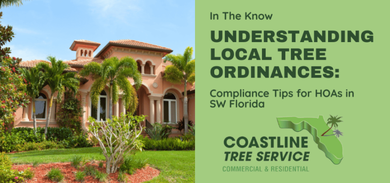 Understanding Local Tree Ordinances: Compliance Tips for HOAs in SW ...