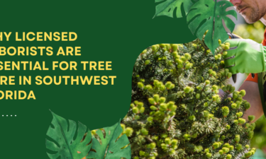 Fort Myers Tree Licensed Arborists Serving Naples & Marco Island