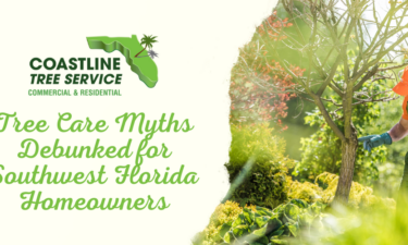 Marco Island Tree Care Services