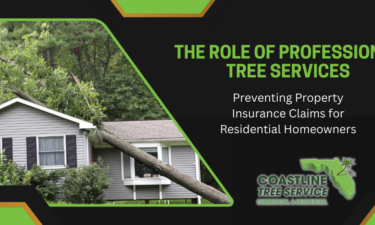 SW Florida Professional Residential Tree Services