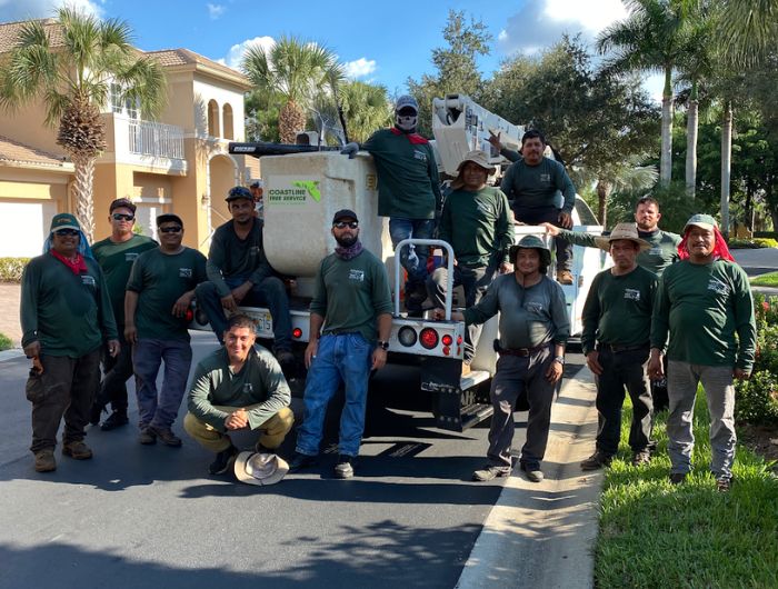 Coastline Tree Team