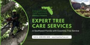 Expert Tree Care Services in Southwest Florida with Coastline Tree Service