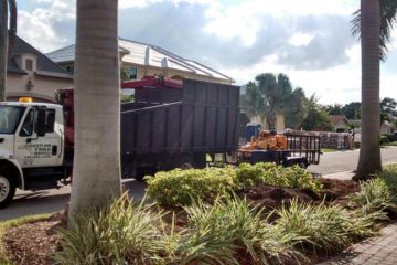 Fort Myers Tree Root Pruning Services in Naples and Marco Island