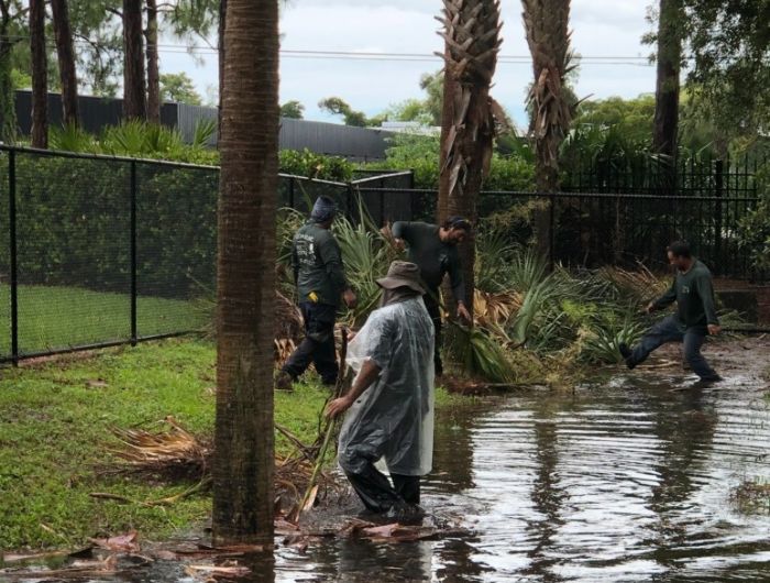 Naples Hurricane Tree Services
