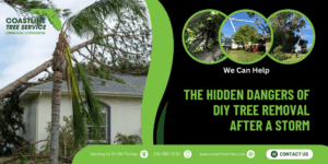 The Hidden Dangers of DIY Tree Removal After a Storm in SW Florida