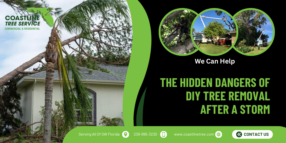 The Hidden Dangers of DIY Tree Removal After a Storm in SW Florida