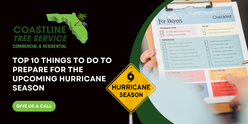 Top 10 Things To Do Prepare For A Hurricane in Fort Myers, Naples, Marco Island