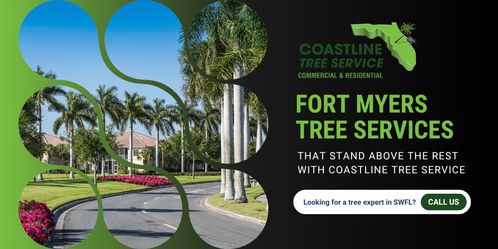 Fort Myers Tree Services Company