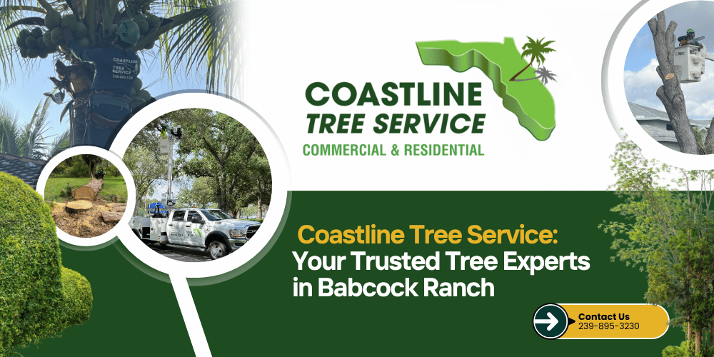 Babcock Tree Services Tree Trimming, Tree Removal, Stump Grinding in Charlotte County