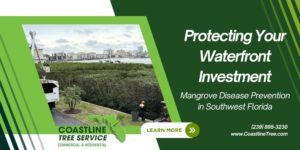 Southwest Florida Mangrove Tree Trimming Services