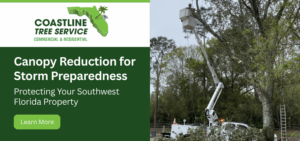 Southwest Florida Tree Canopy Reduction Services
